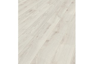 Дуб Чантили 5953